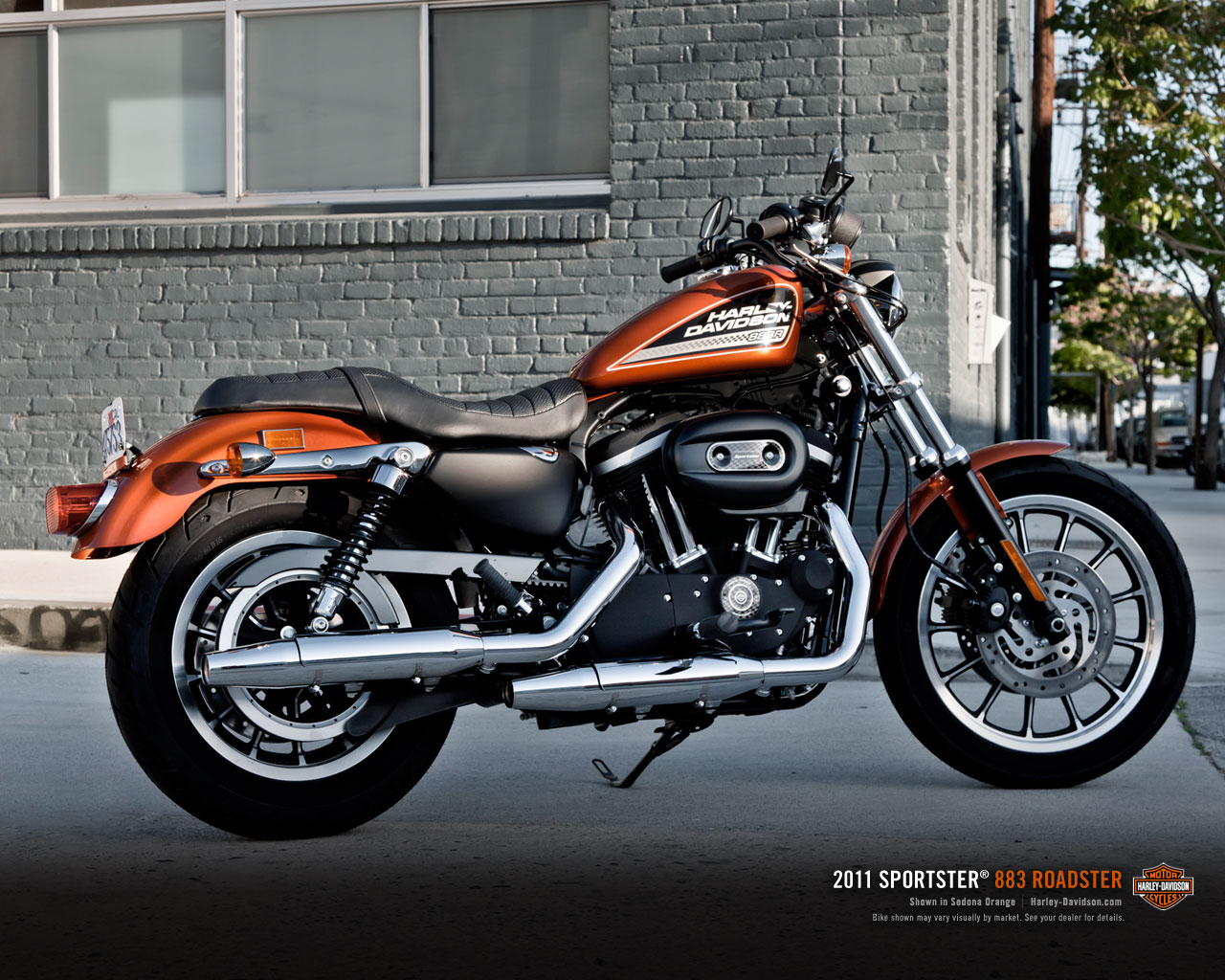 Harley-Davidson 883 Roadster #2