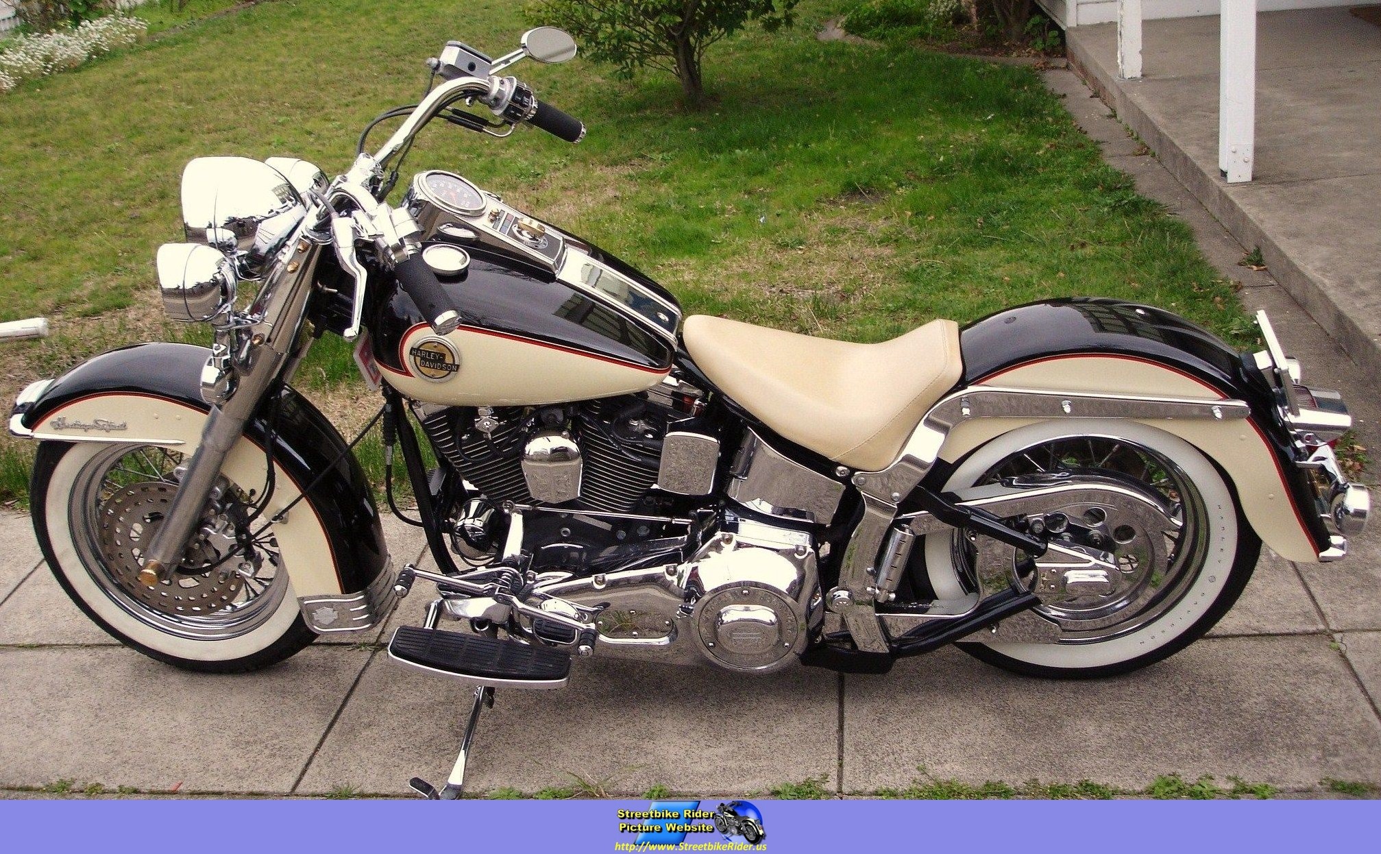 1990 Harley Davidson Fxstc 1340 Softail Custom Image 3