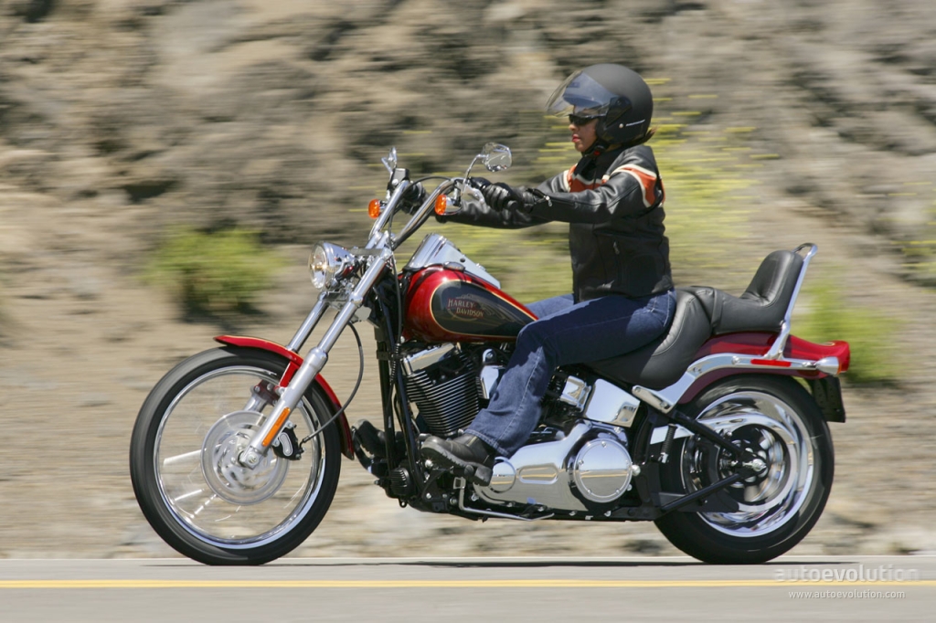 Harley-Davidson FXSTC Softail Custom 2009 #13
