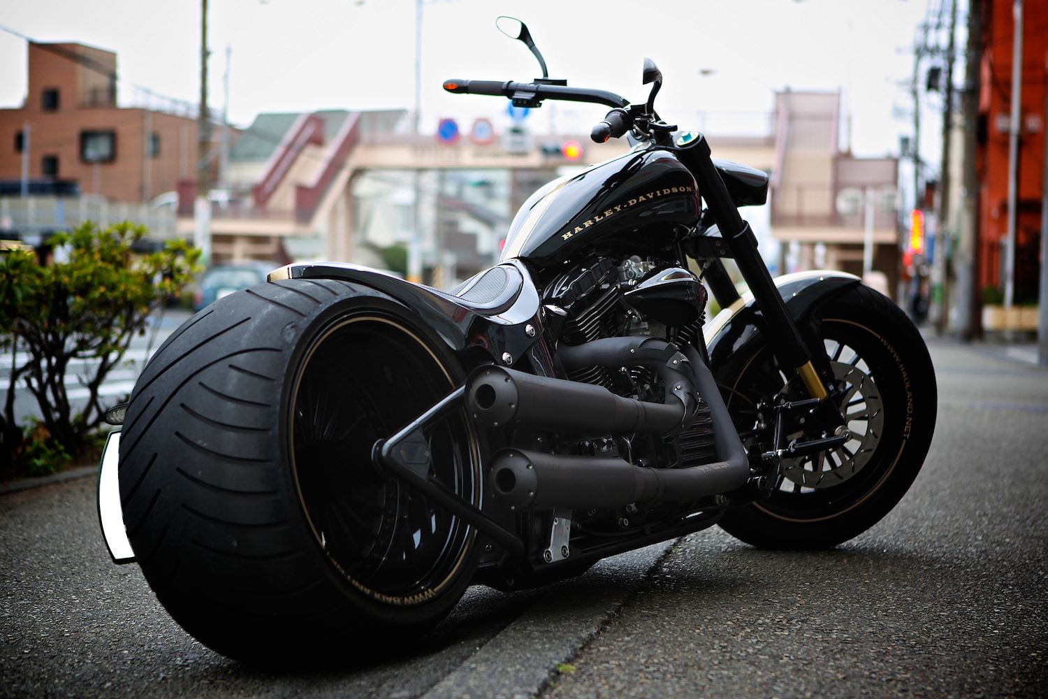 Custom Harley Softtail Harley Davidson Custom Pinterest Custom
