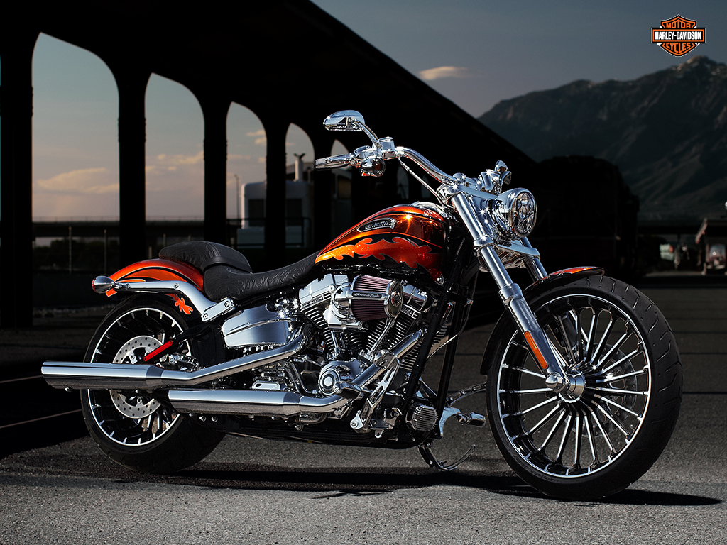 Harley-Davidson Softail Fat Boy Lo 2014 #13