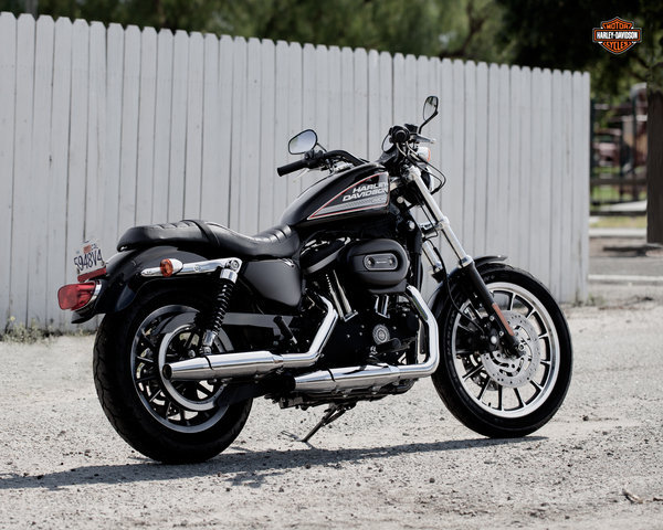 Harley-Davidson Sportster 883 Roadster 2014 #3