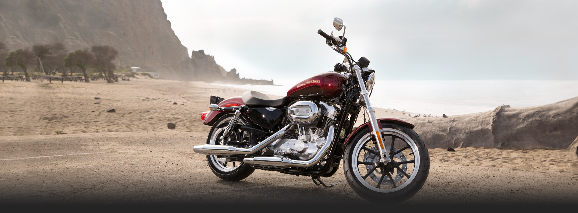 Harley-Davidson Sportster SuperLow 2014 #2