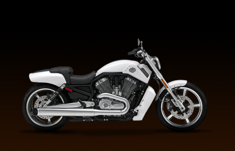 Harley-Davidson VRSCF V-Rod Muscle 2011 #5