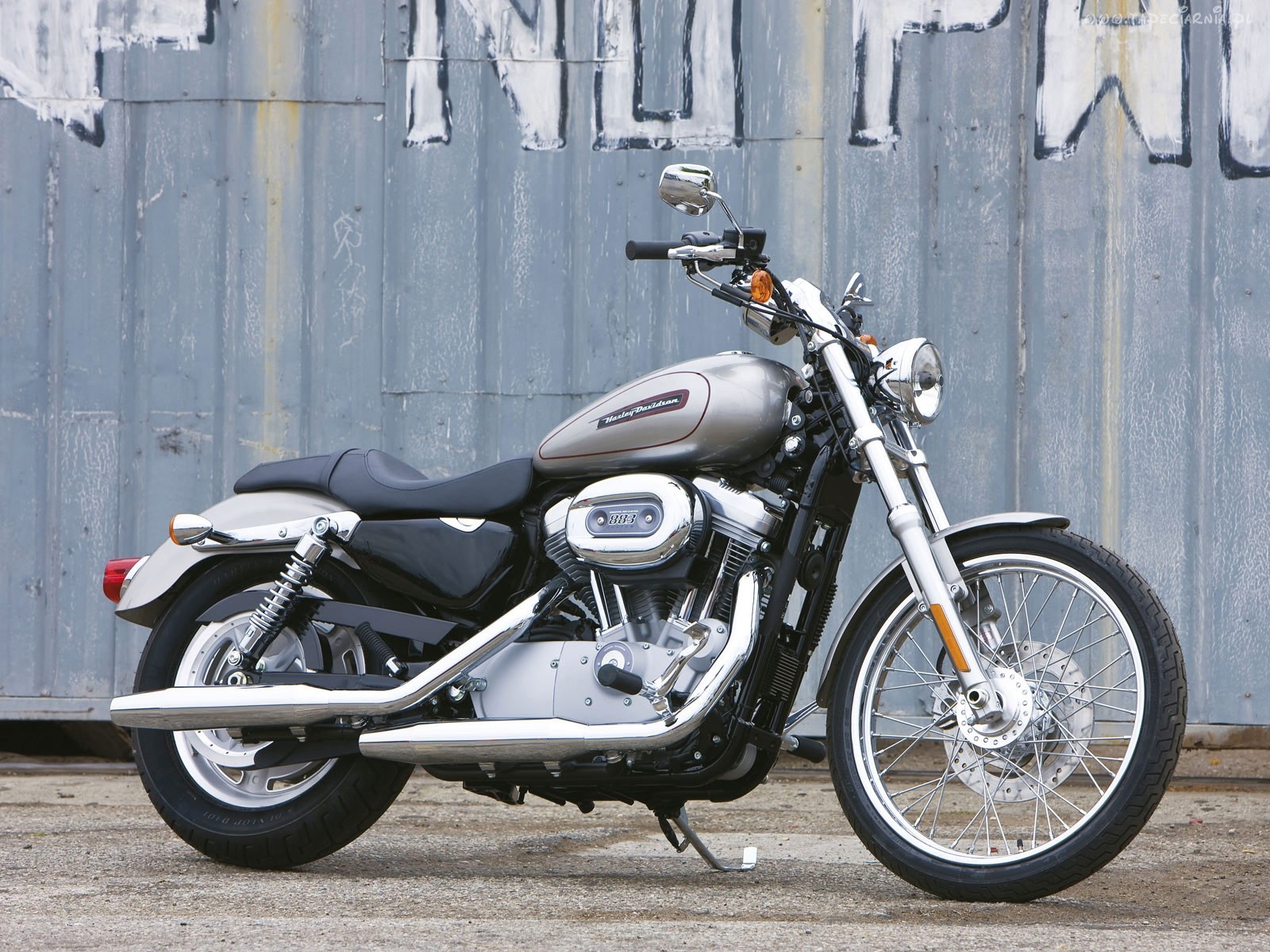 Harley-Davidson XL883C Sportster Custom 2004 #11