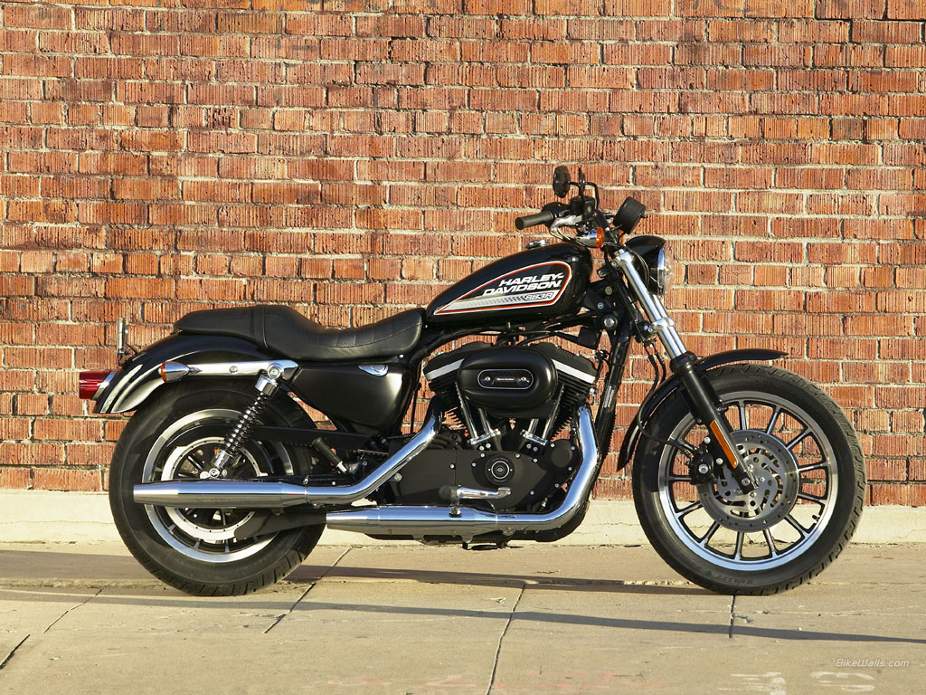 2007 Harley-Davidson XL883R Sportster R #11