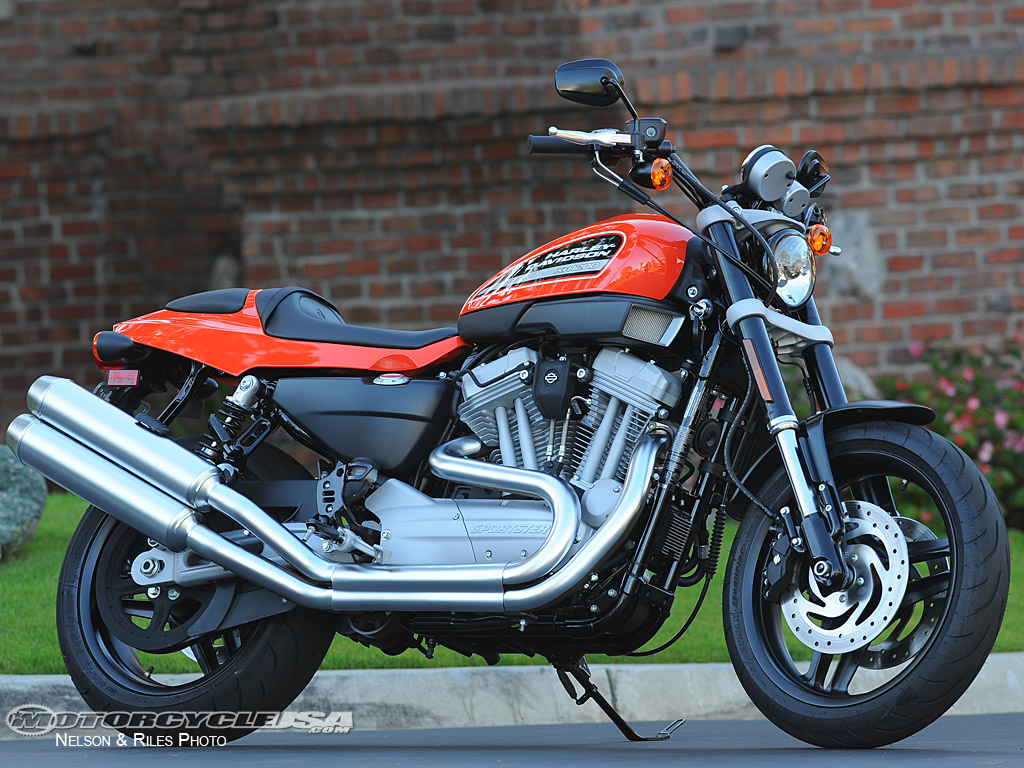 Harley-Davidson XR1200 2010 #5