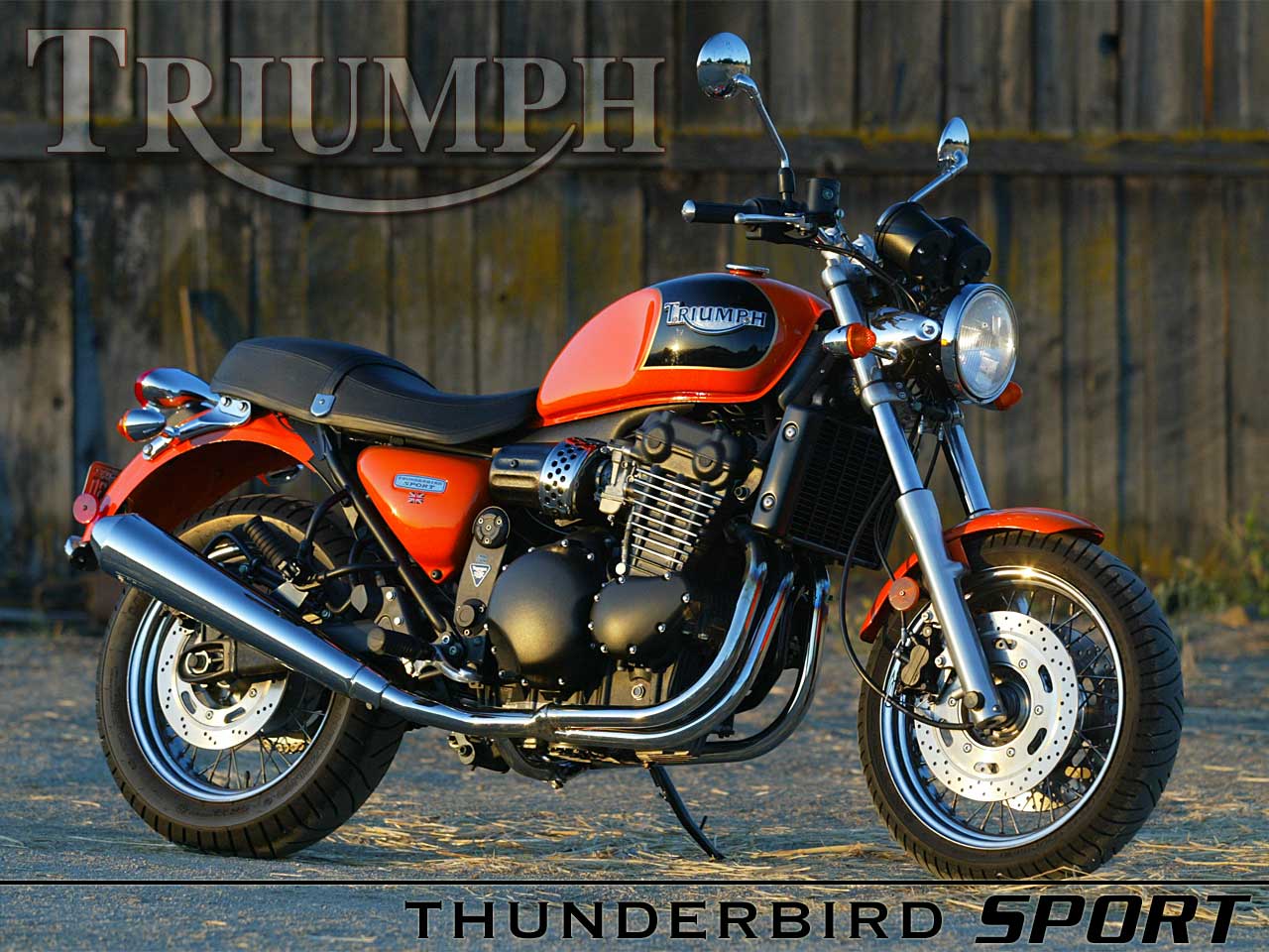 1999 Triumph Thunderbird Sport 900