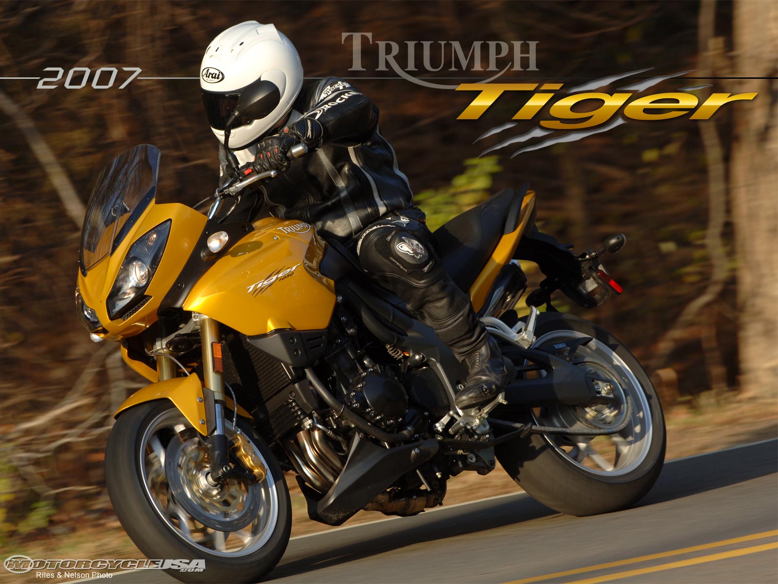 Triumph Tiger 2007 #3