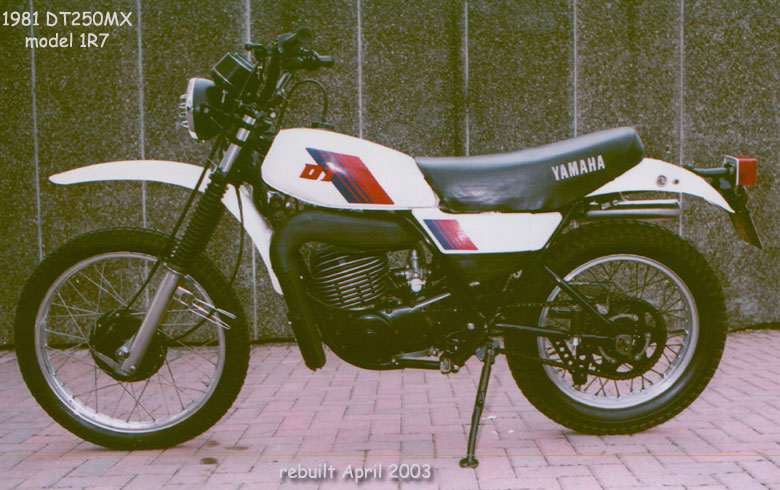 Yamaha DT 250 MX 1981 #2