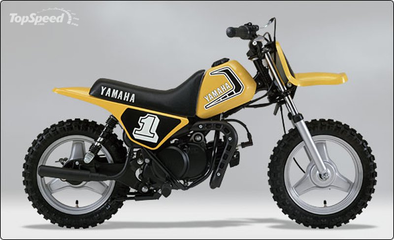 Yamaha PW50 2008 #1