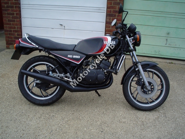Yamaha RD 250 1981 #8