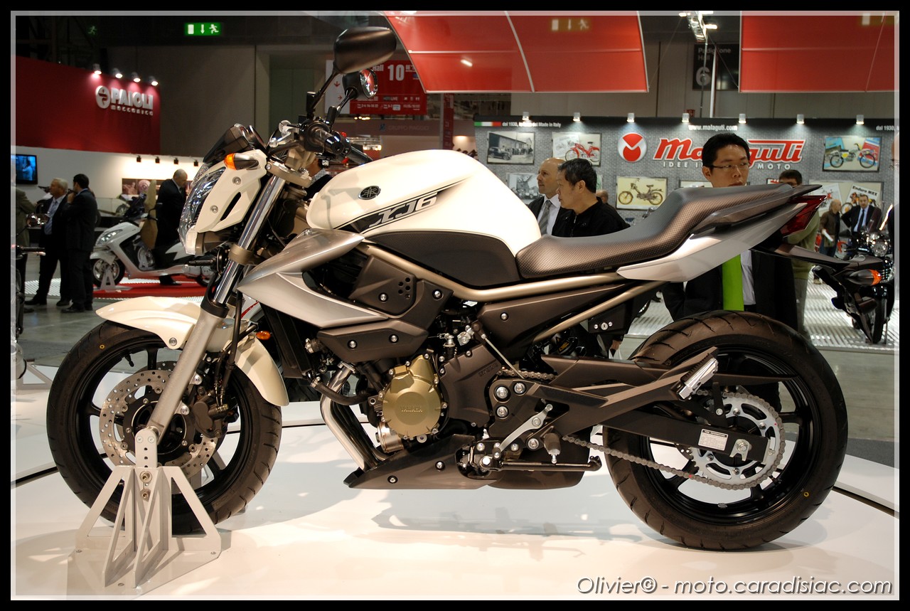 Yamaha XJ6 2009 #13