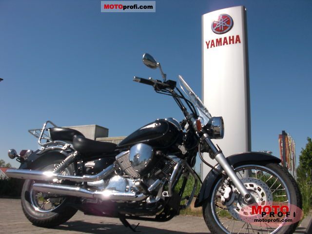 Yamaha XVS 250 Drag Star 2003 #6