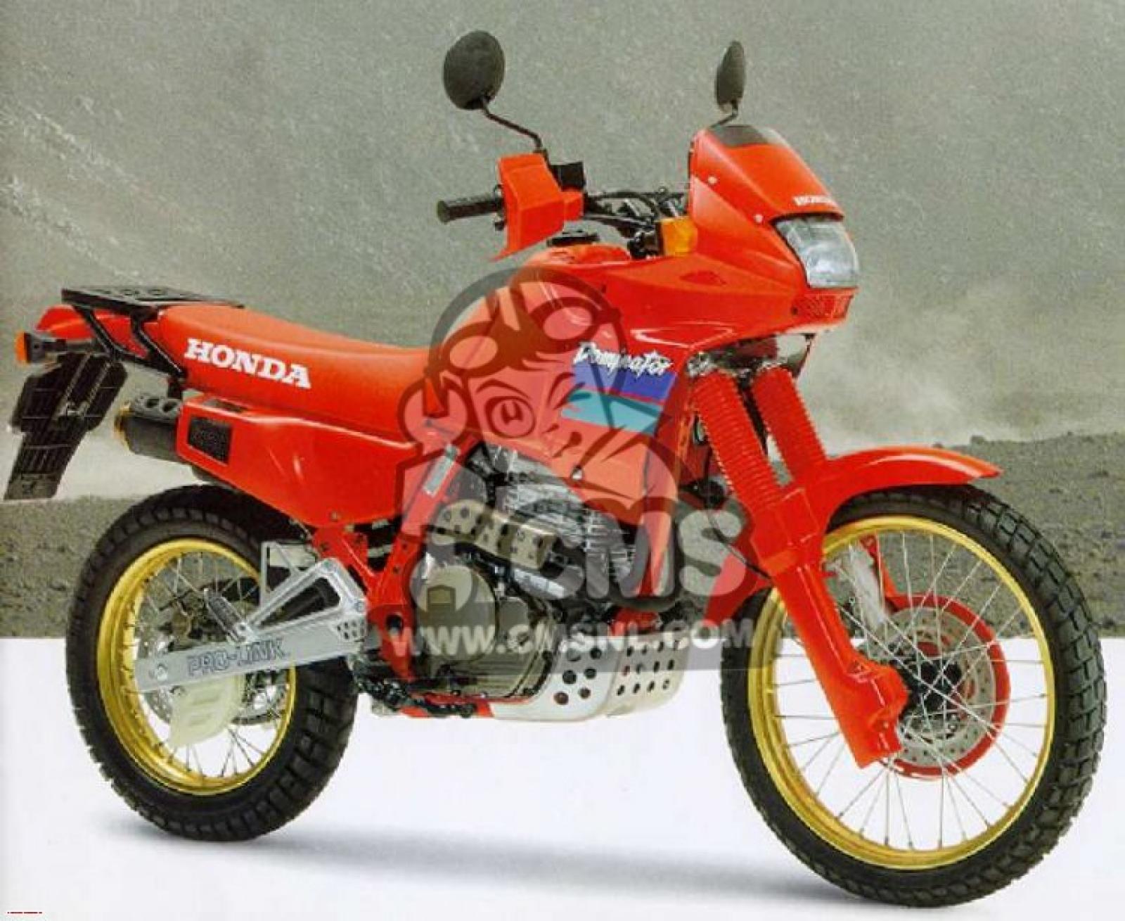 RM Style - MOTO PASSION: 1988/92 : Honda NX 650 Dominator