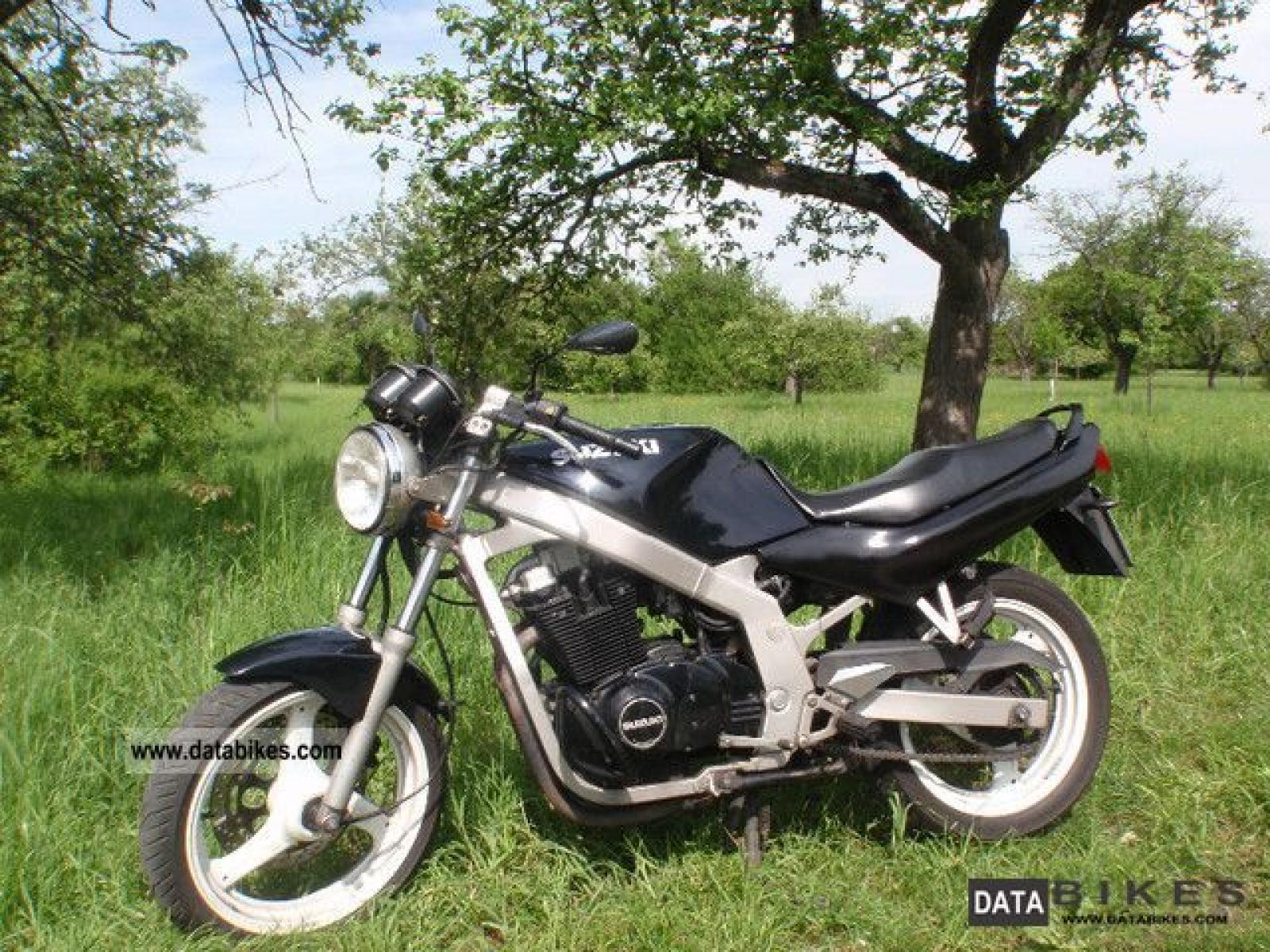 1993 Suzuki GS 500 | Picture 2750135