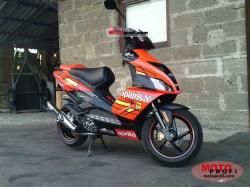 Adly Cat 50 2009 #14