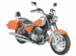 Clipic Custom Guepard 125cc 2009