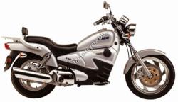 Clipic Custom Guepard 125cc 2011