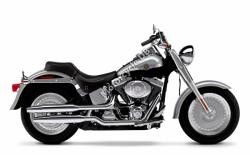 Clipic Custom Guepard 250cc 2009 #9