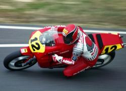 Ducati 350 F3 1989 #5
