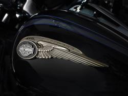 Harley-Davidson 1200 Custom 110th Anniversary 2013 #14