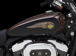 Harley-Davidson 1200 Custom 110th Anniversary 2013 #3