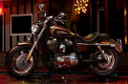 Harley-Davidson 1200 Custom 110th Anniversary 2013 #5