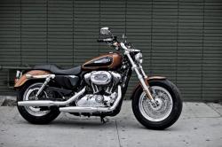 Harley-Davidson 1200 Custom 110th Anniversary 2013 #9