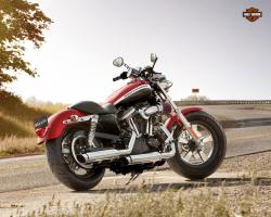 Harley-Davidson 1200 Sportster Custom #11