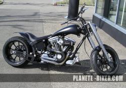 Harley-Davidson 1340 Softail Custom #10