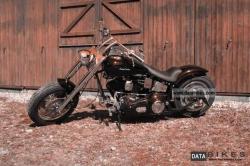 Harley-Davidson 1340 Softail Custom 1995 #8