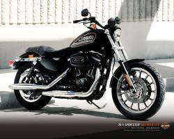 Harley-Davidson 883 Roadster #10
