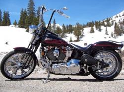 Harley-Davidson Bad Boy #10