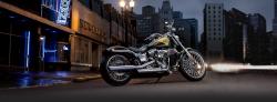 Harley-Davidson CVO Breakout #6