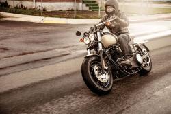 Harley-Davidson Dyna Fat Bob 2014 #5
