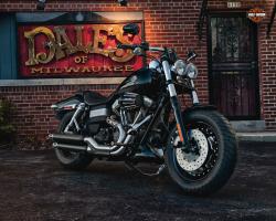 Harley-Davidson Dyna Fat Bob #6