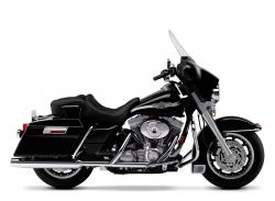 Harley-Davidson Electra Glide Standard #2