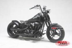 Harley-Davidson FLSTC Softail #12