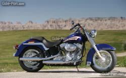 Harley-Davidson FLSTI Heritage Softail #2