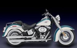 Harley-Davidson FLSTN Softail Deluxe 2010 #7