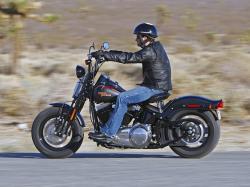 Harley-Davidson FLSTSB Softail Cross Bones #10