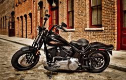 Harley-Davidson FLSTSB Softail Cross Bones 2010 #10
