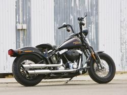 Harley-Davidson FLSTSB Softail Cross Bones #4