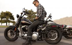 Harley-Davidson FLSTSB Softail Cross Bones #9