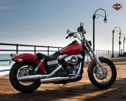 Harley-Davidson FXDB Street Bob #8