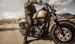 Harley-Davidson FXDF Fat Bob #11