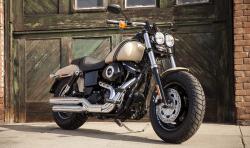 Harley-Davidson FXDF Fat Bob #5