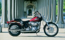 Harley-Davidson FXST Softail Standard 2003 #14