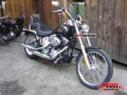 Harley-Davidson FXSTC Softail Custom 2009 #8